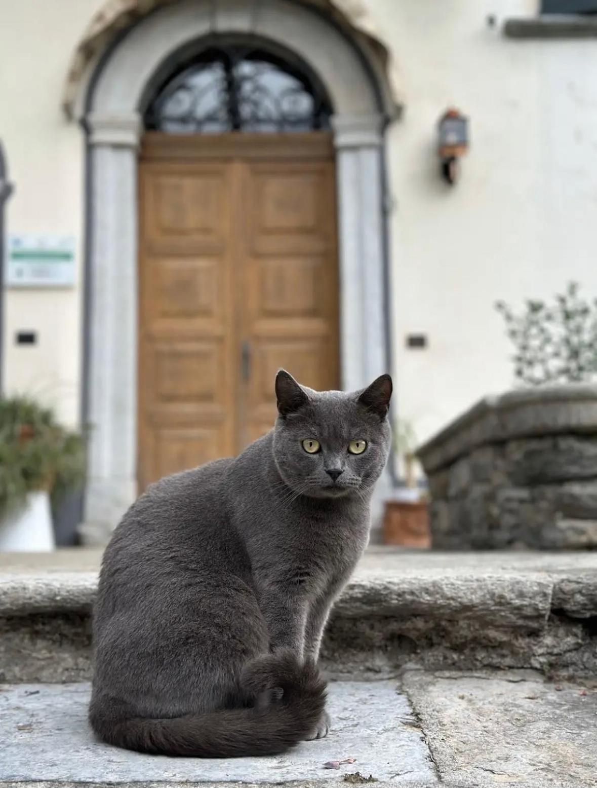 B&B La Dolce Casa Lago Di Como Cremia Exteriör bild